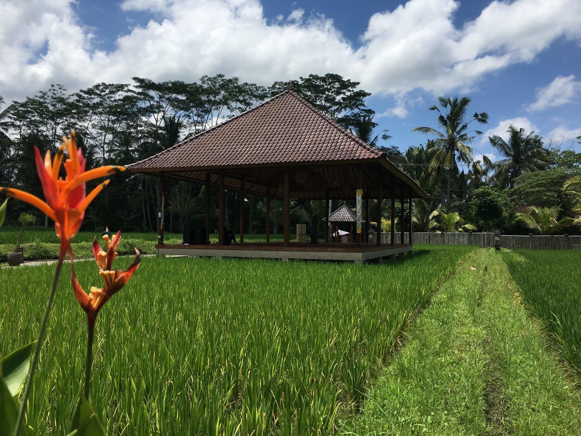 Santosha Villas & Spa Ubud Zewnętrze zdjęcie